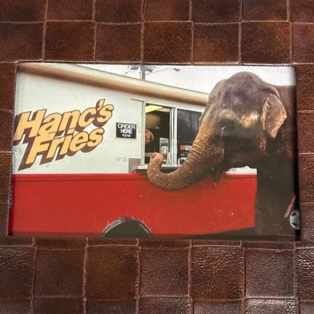 Limba the Elephant Placing an Order